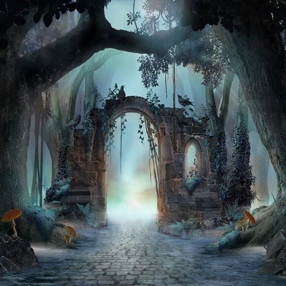 Sfondo Di Funghi Arco Nebbioso Albero Forestale M8-14