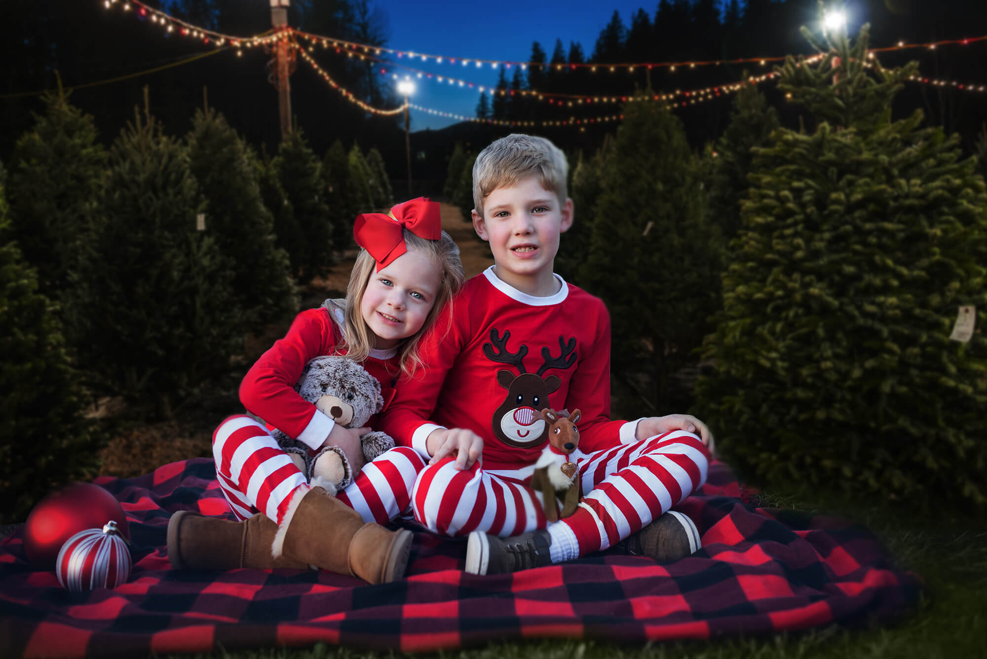 Sfondo Fotografico Notturno Per La Fattoria Dell'Albero Di Natale M8-21