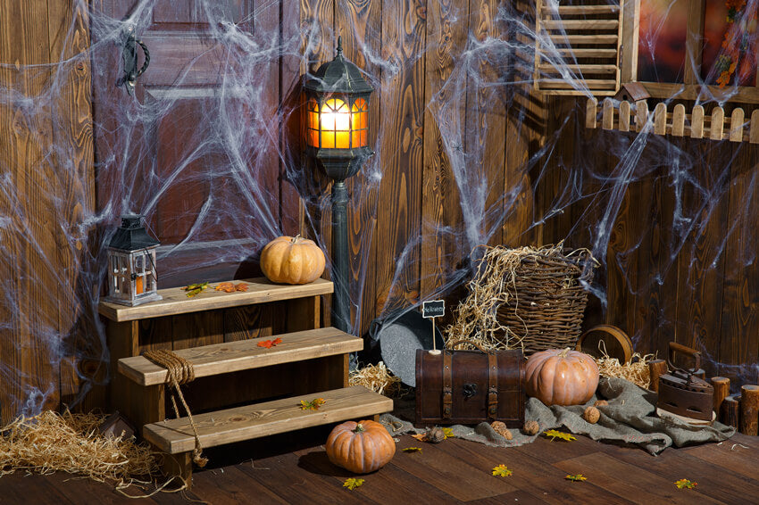 Sfondo Di Halloween Della Ragnatela Della Vecchia Stanza In Legno M9-34