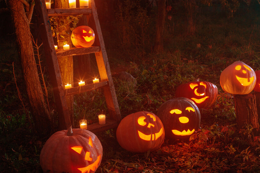 Sfondo Fantasma Di Zucca Foresta Horror Di Halloween M9-46