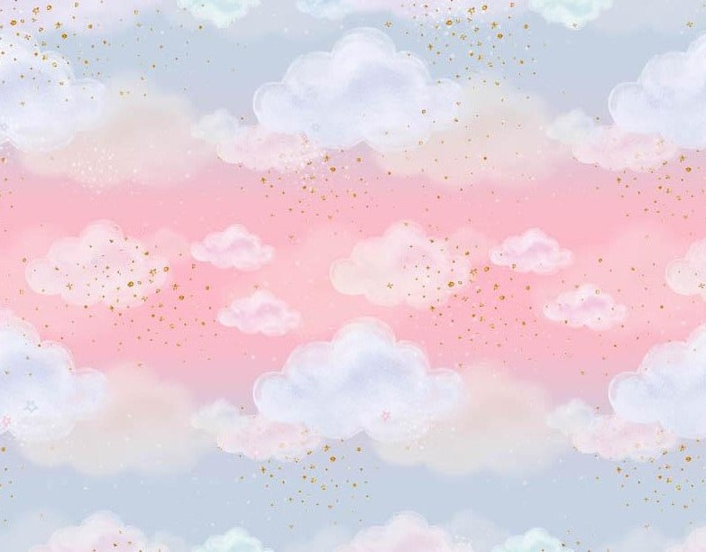 Bellissimo Sfondo Con Nuvole Di Cielo Rosa Per La Fotografia NB-348