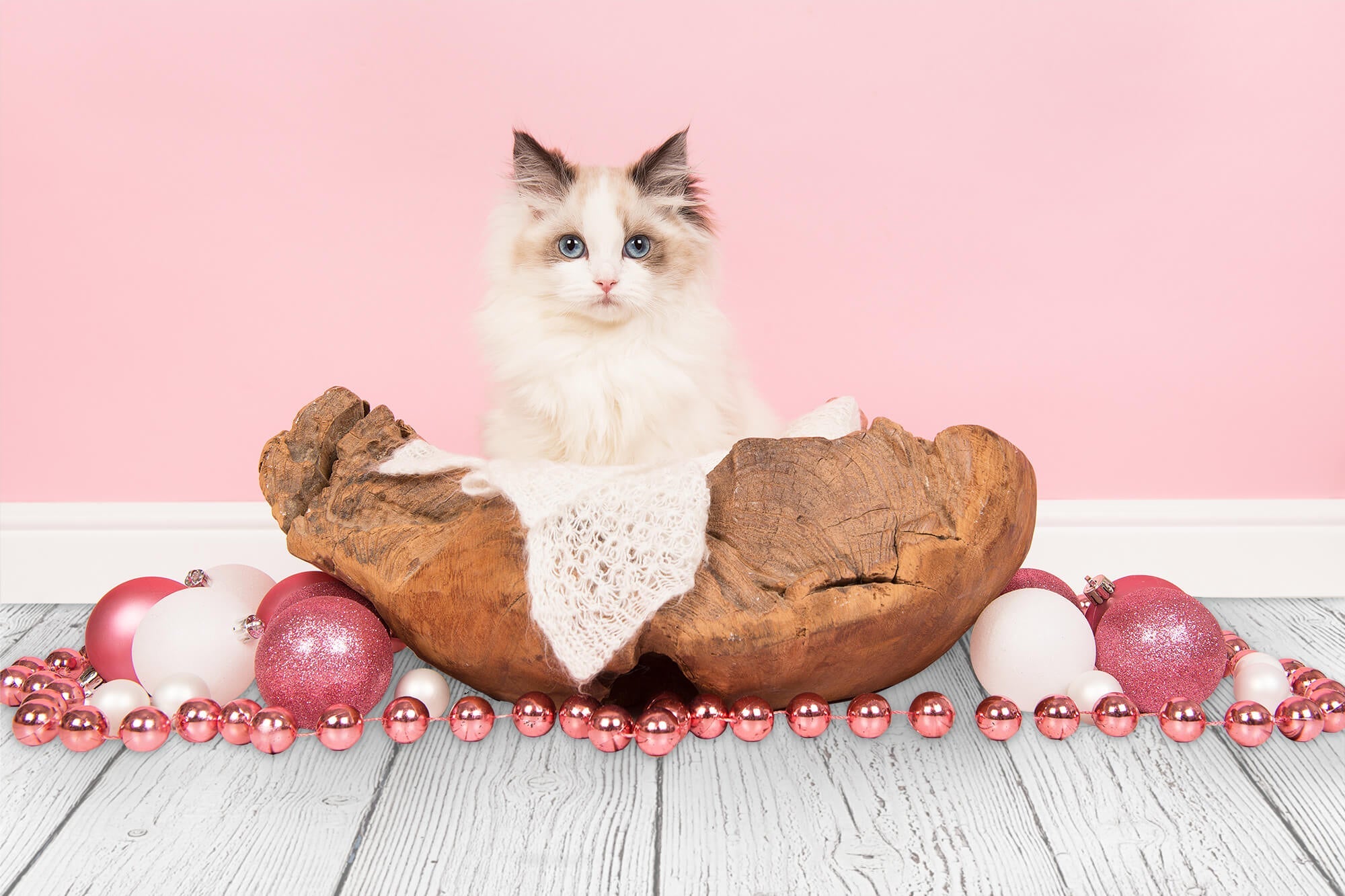 Tappetino In Gomma Con Venature Del Legno Verniciato Bianco Per Segni Di Unghie Per Fotografia RM12-71
