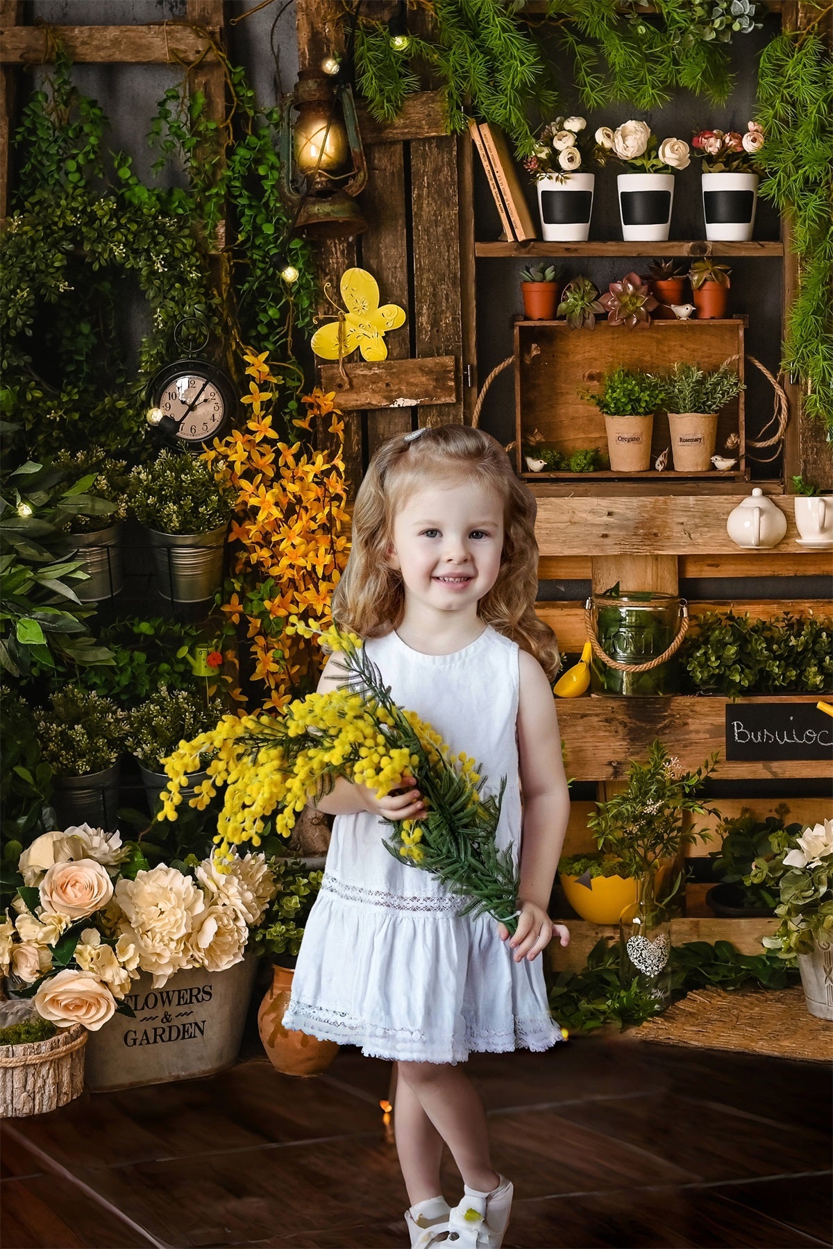 Pannello In Legno Primaverile Con Piante In Vaso Stile Giardinaggio Sfondo RR3-23