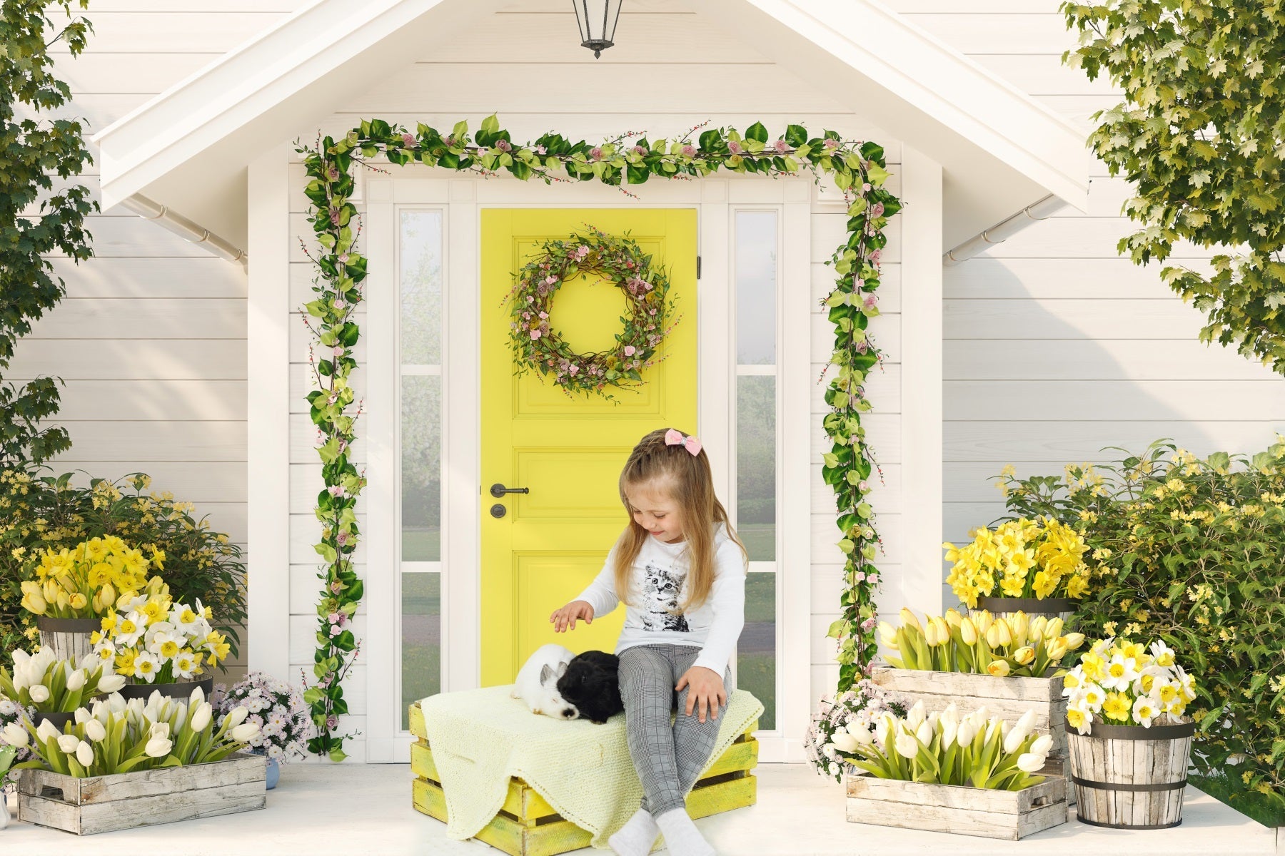 Sfondo A Tema Fresco Tulipano Della Casa Bianca RR3-28