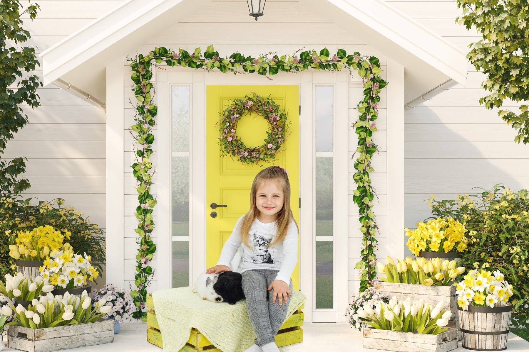 Sfondo A Tema Fresco Tulipano Della Casa Bianca RR3-28