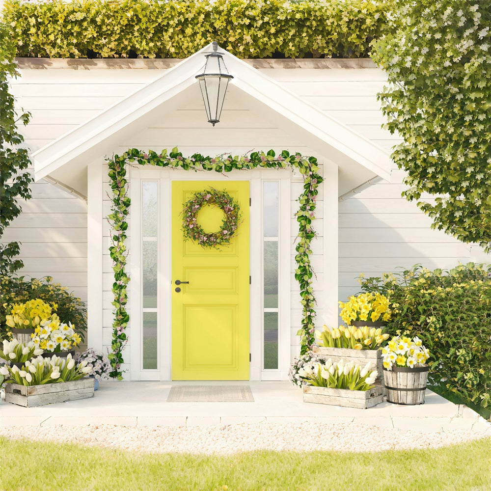 Sfondo A Tema Fresco Tulipano Della Casa Bianca RR3-28