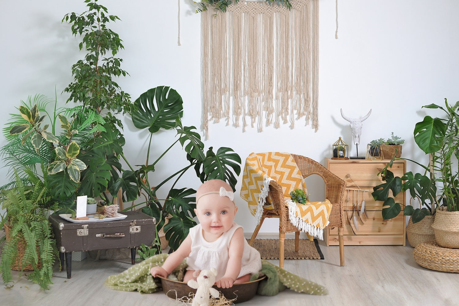 Dbackdrop Spring Greenery Fresco Minimalista Scena Domestica Sfondo RR3-37