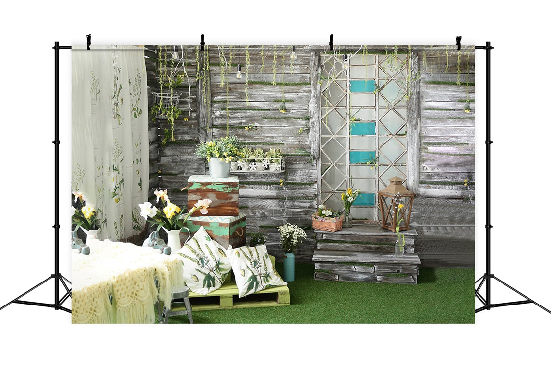 Dbackdrop Spring Greenery Pianta In Vaso Fiore Sfondo Da Parete Con Pannelli In Legno RR3-39