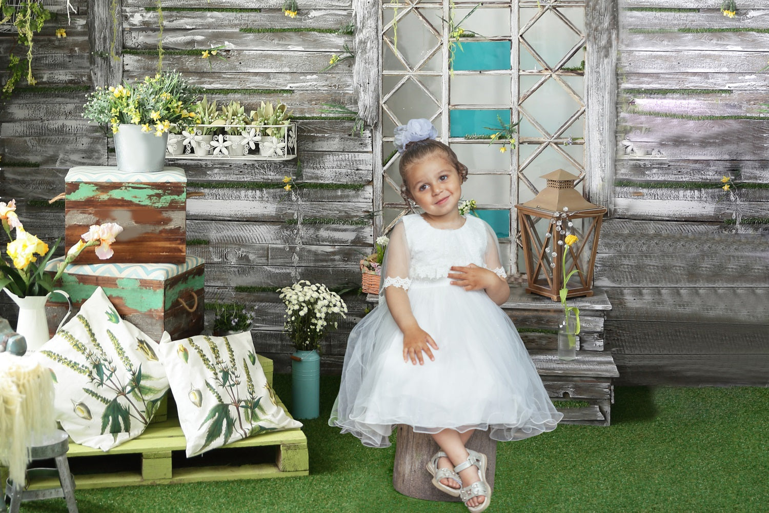 Dbackdrop Spring Greenery Pianta In Vaso Fiore Sfondo Da Parete Con Pannelli In Legno RR3-39