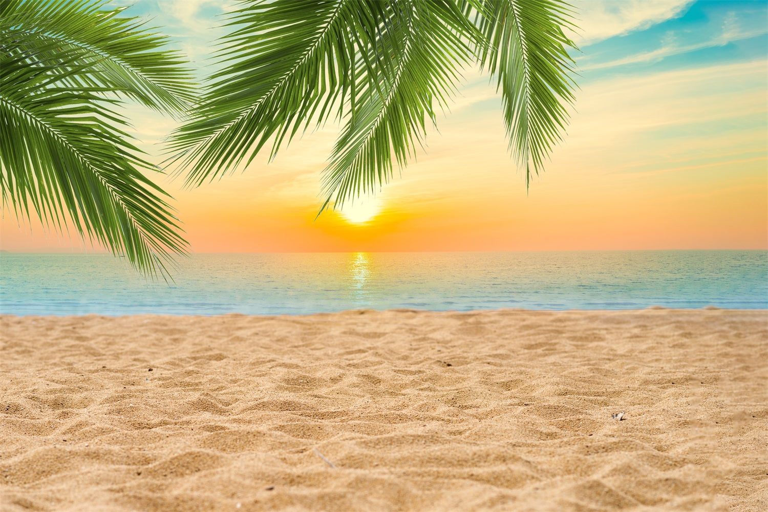 Dbackdrop Summer Seaside Beach Coconut Tree Sunset Fondale RR3-42