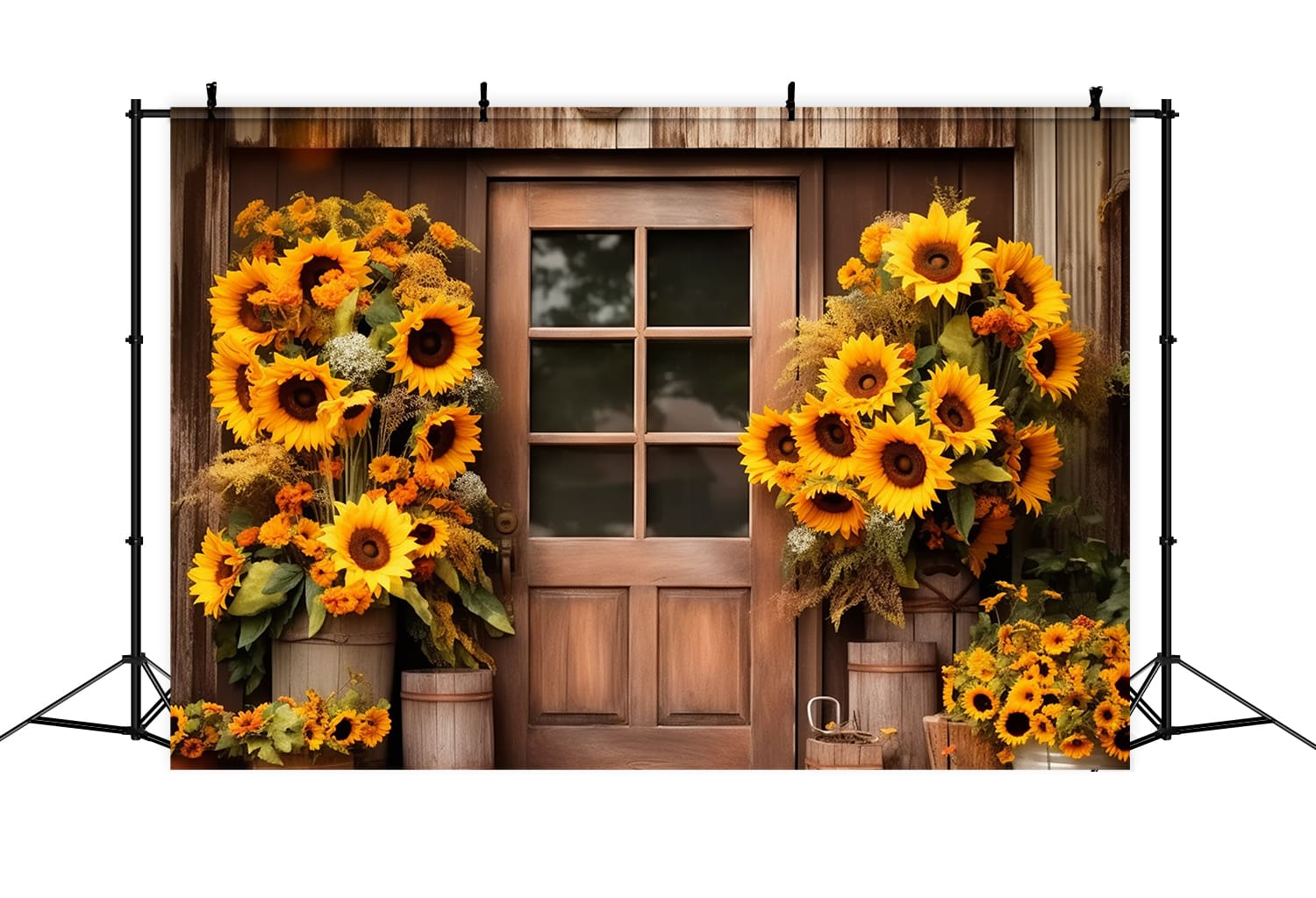 Sfondo Fotografico Autunnale Con Girasoli RR7-124