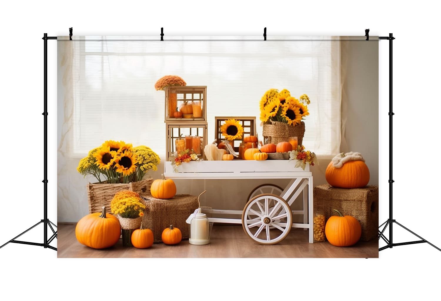 Girasoli Zucche Carrello Sfondo Autunnale RR7-131