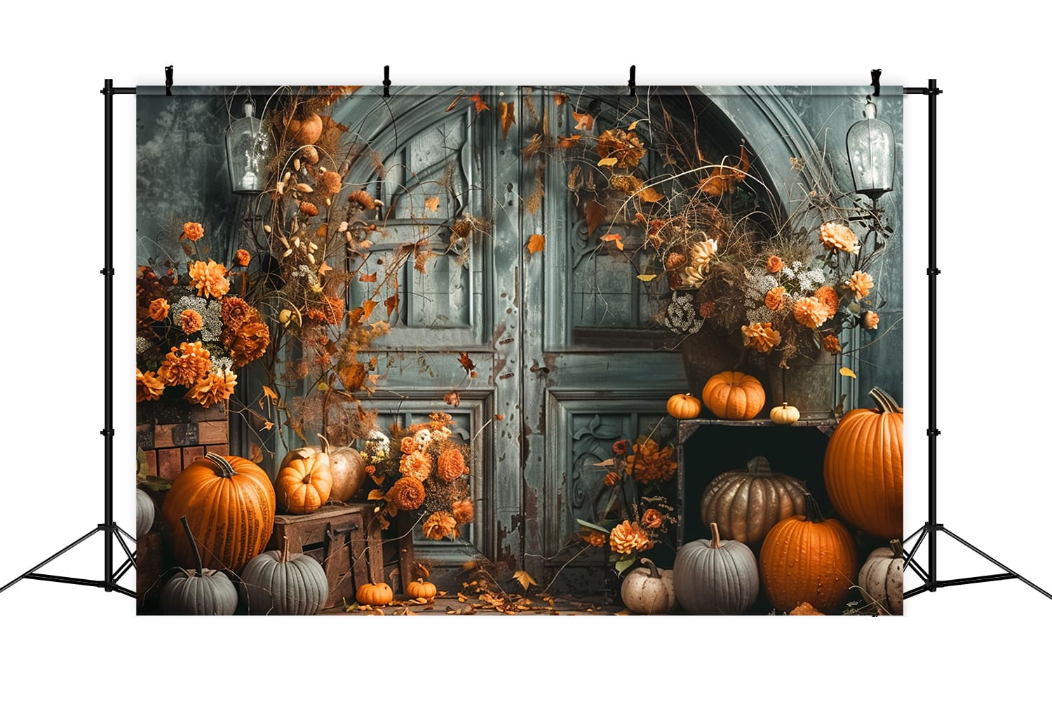 Sfondo Fotografico Con Zucche Per Porta Autunnale RR7-149