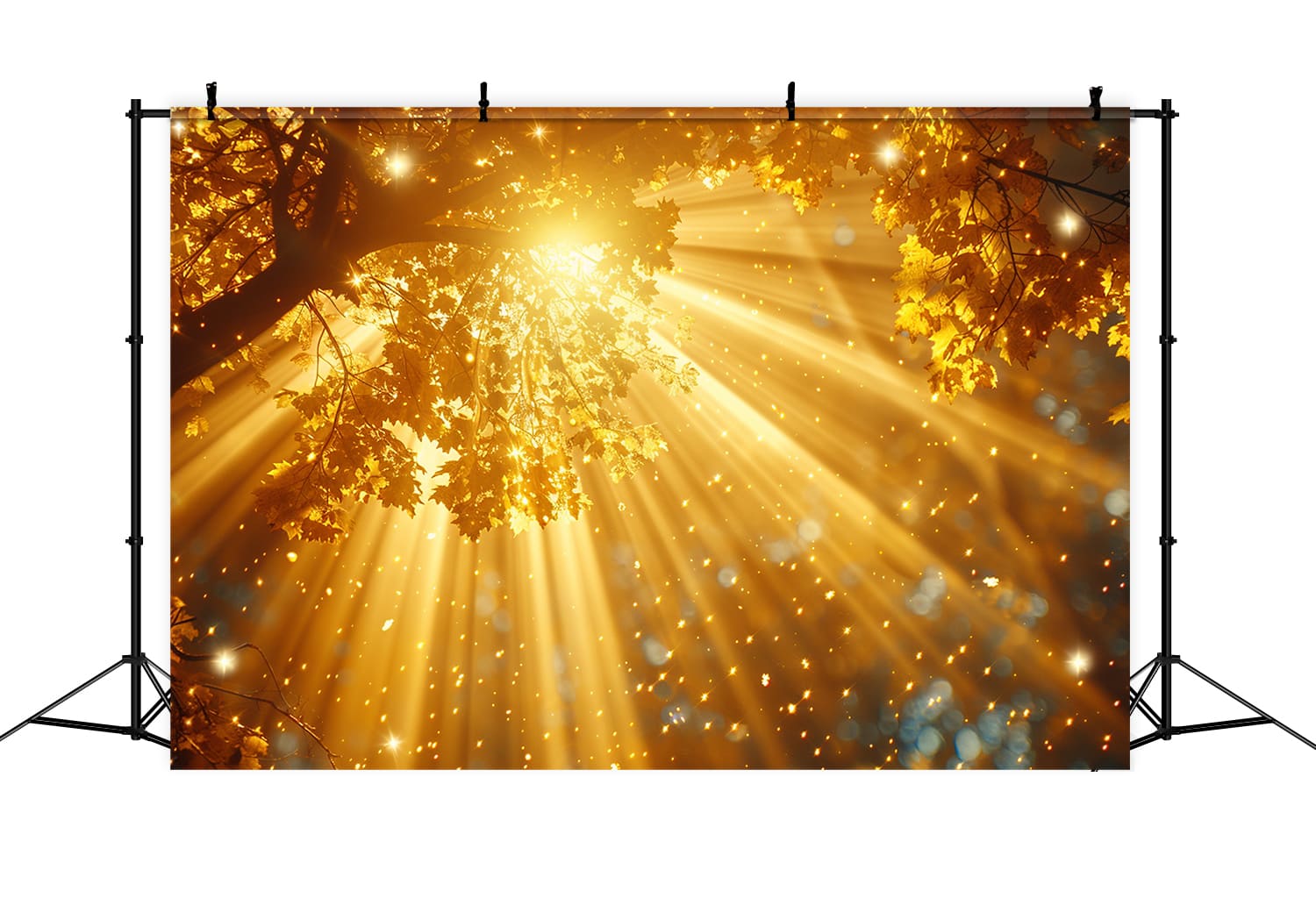 Sfondo Fotografico Alla Luce Solare Della Foresta Autunnale RR7-155
