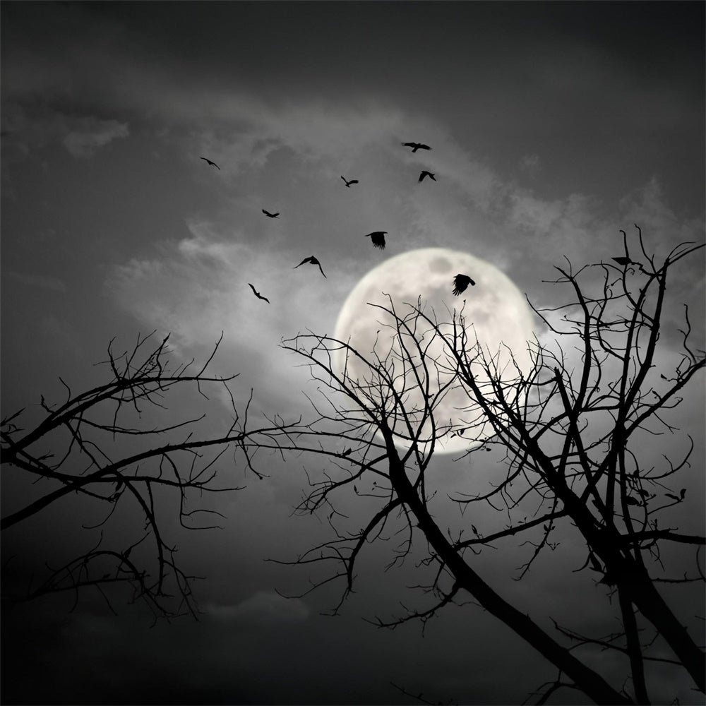 Sfondo Di Pipistrelli Lunari Cielo Scuro Notte Di Halloween RR7-487