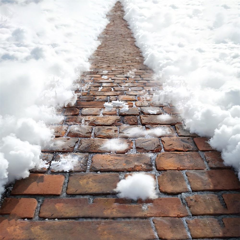 Soffice E Morbido Sfondo Con Sentieri Innevati RR7-539