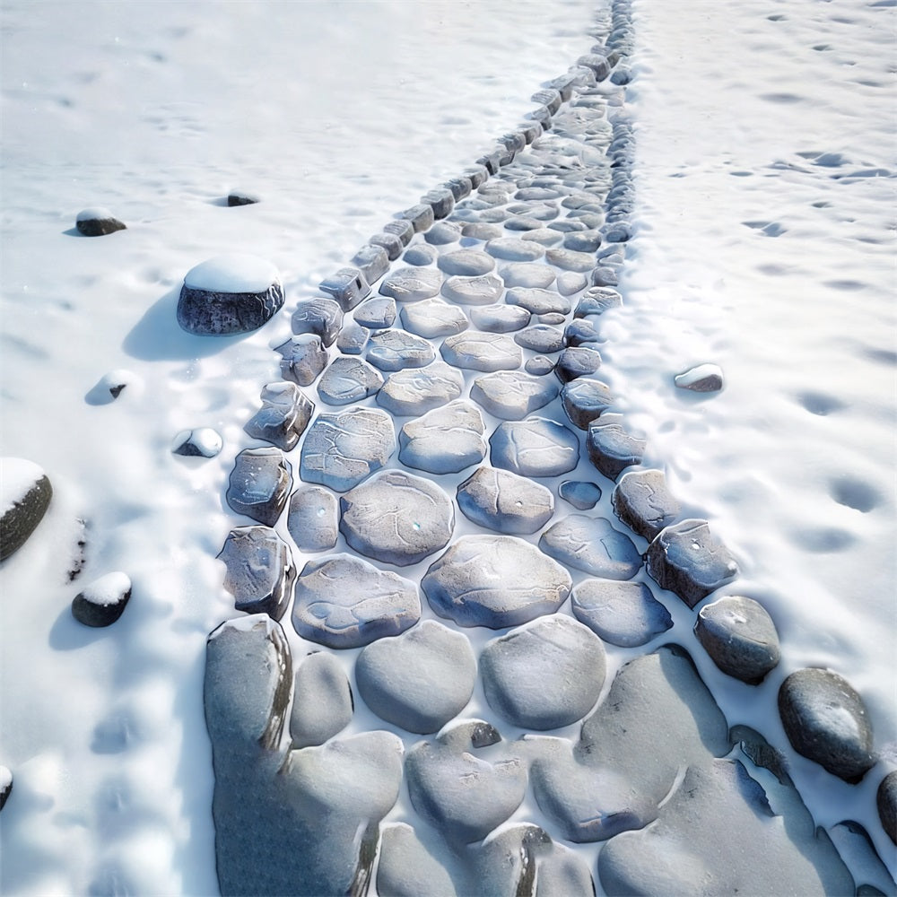 Sfondo Del Pavimento In Pietra Nevosa E Morbida RR7-541