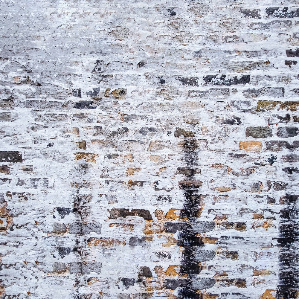 Sfondo Rustico Con Pavimento In Mattoni Stagionati RR7-551