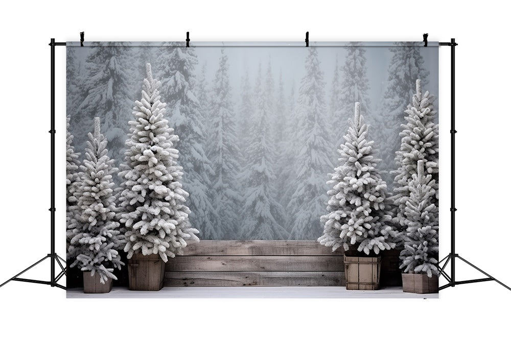 Sfondo Di Alberi Ghiacciati Della Foresta Innevata Di Natale RR8-247
