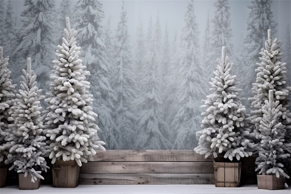 Sfondo Di Alberi Ghiacciati Della Foresta Innevata Di Natale RR8-247