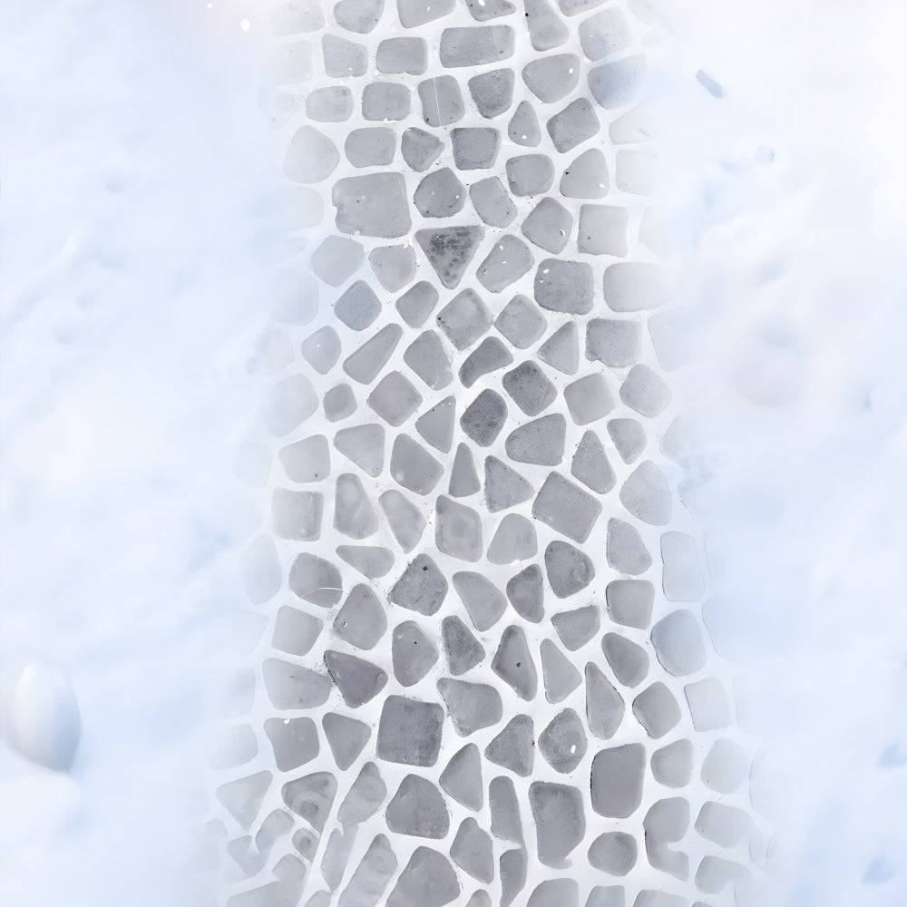 Sentiero In Ciottoli Sullo Sfondo Del Pavimento Innevato RR8-289