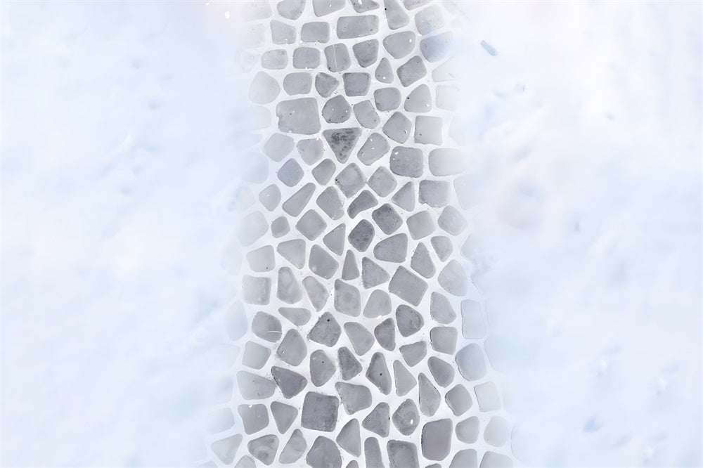 Sentiero In Ciottoli Sullo Sfondo Del Pavimento Innevato RR8-289