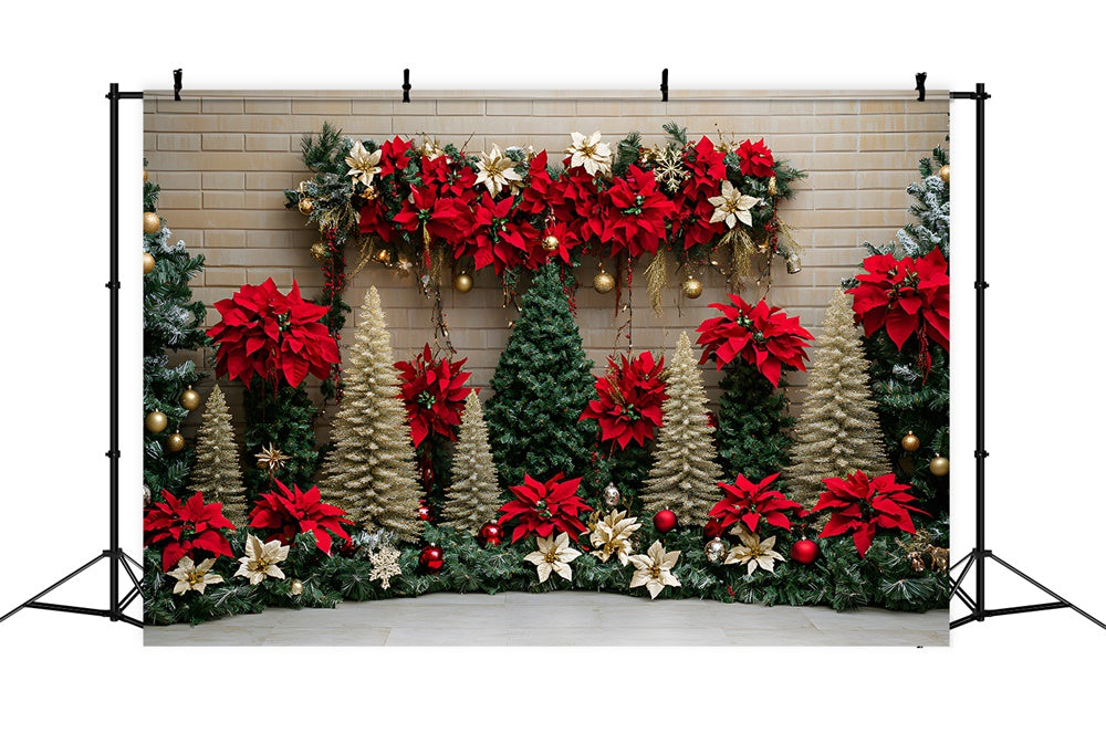 Sfondo Di Fiori Di Alberi Di Natale Poinsettia RR8-77