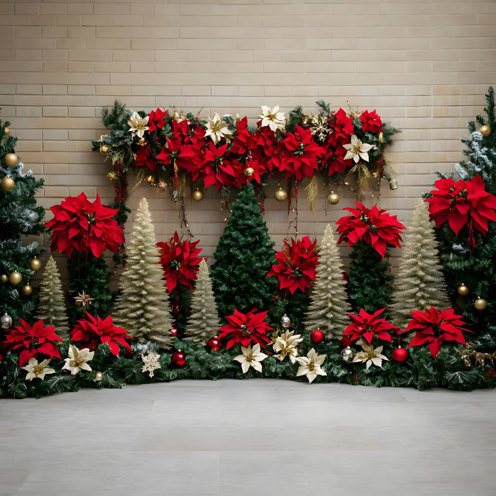 Sfondo Di Fiori Di Alberi Di Natale Poinsettia RR8-77
