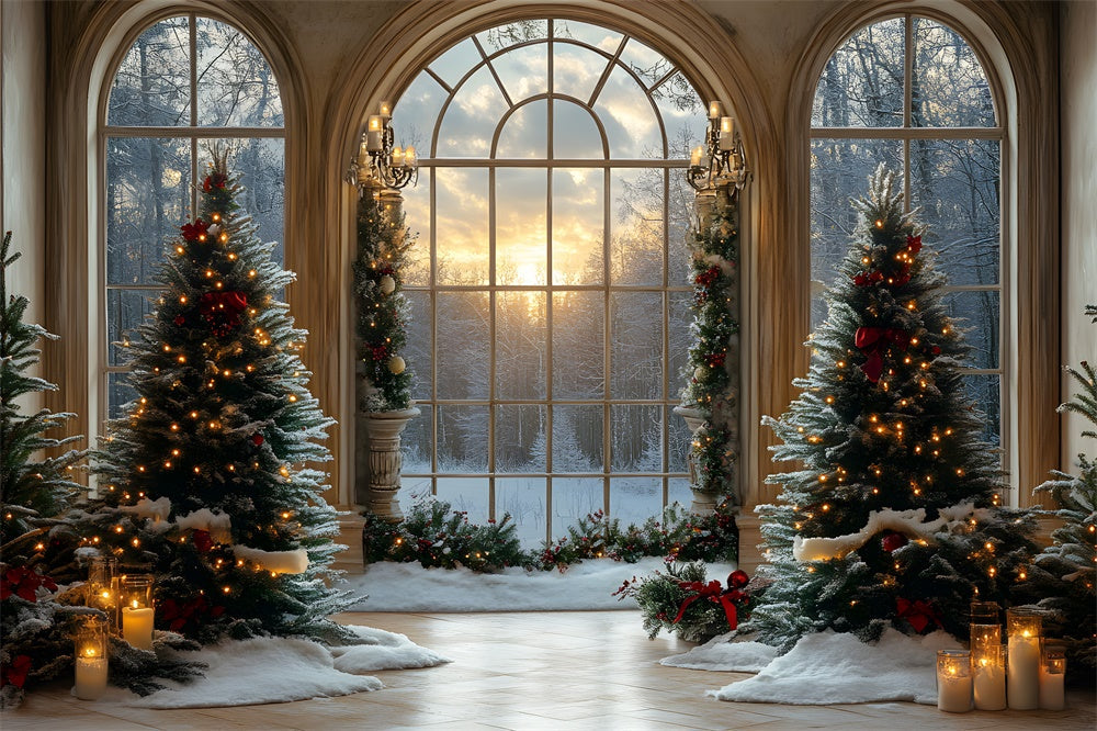 Finestra Degli Alberi Di Natale Foresta Innevata Sullo Sfondo RR8-90