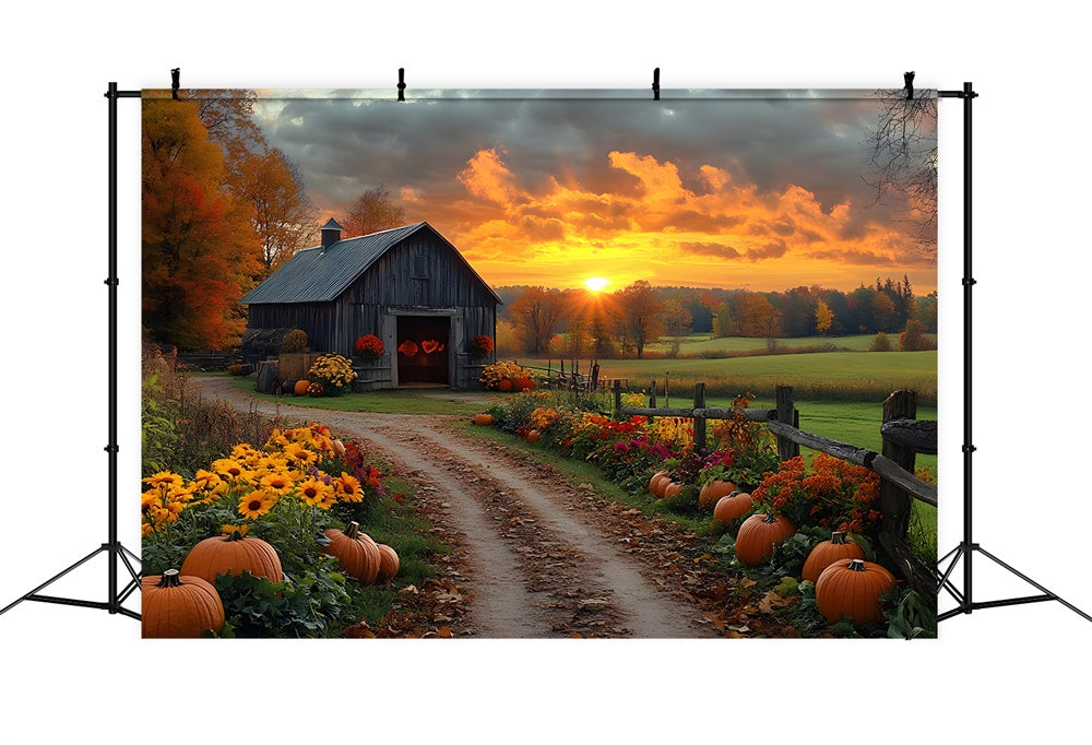 Autunno Country Road Zucca Tramonto Sullo Sfondo RR9-1