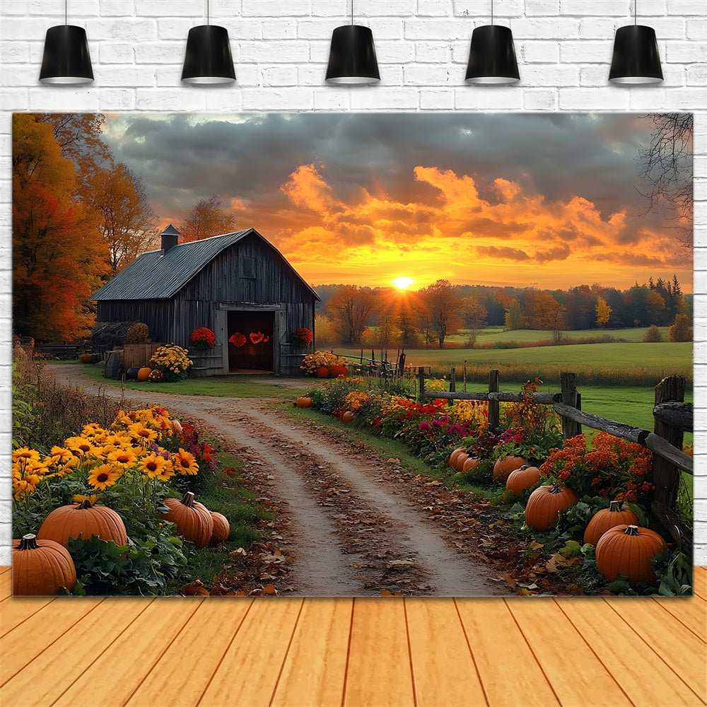 Autunno Country Road Zucca Tramonto Sullo Sfondo RR9-1