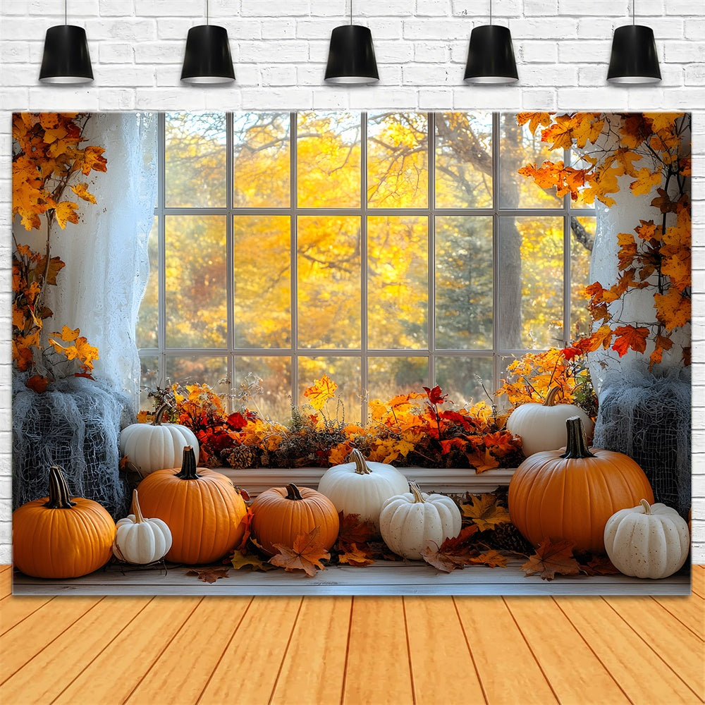 Finestra Degli Alberi Di Acero Autunnali Con Vista Sullo Sfondo Di Zucca RR9-27
