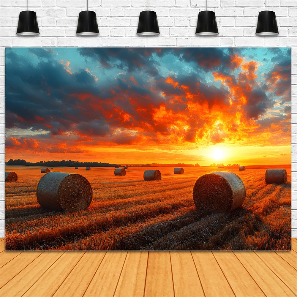 Sfondo Del Campo Di Grano Raccolto Al Tramonto Autunnale RR9-29