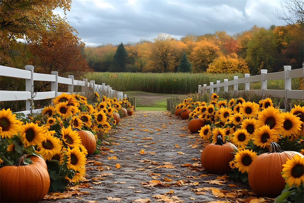 Sfondo Autunnale Della Foresta Del Sentiero Della Zucca Del Girasole RR9-38