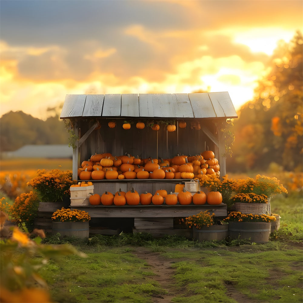 Fondale In Legno Con Fiori Di Zucca Al Tramonto Autunnale RR9-40