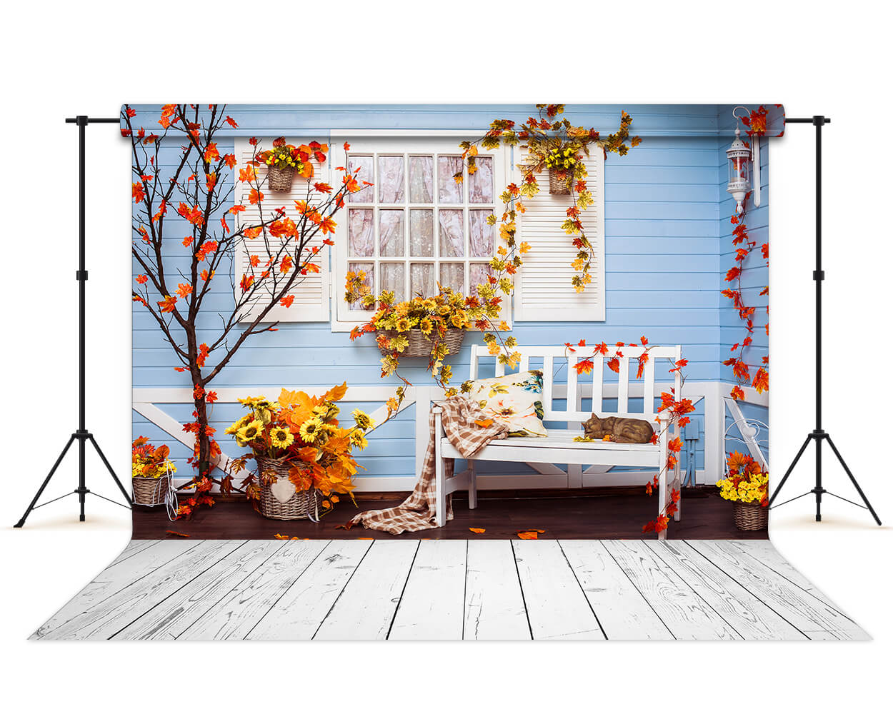 Fondale Per Finestra Sfondi Fotografia Foglia D'Acero Sfondo Blu S-3066