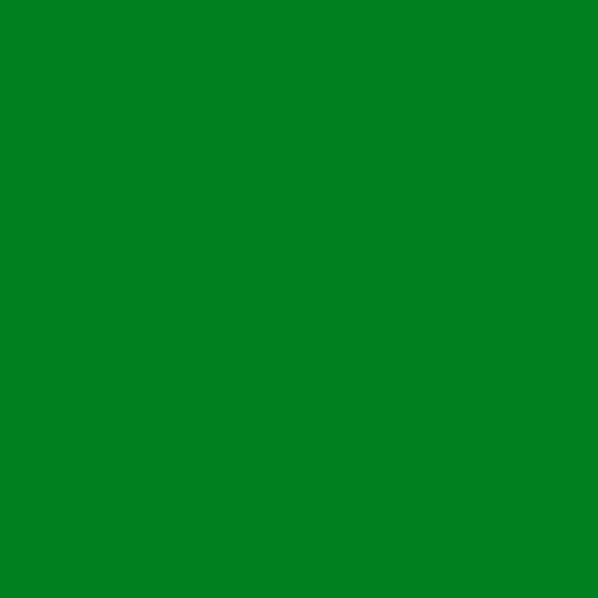 Sfondo In Tinta Unita Verde Scuro Per Photo Booth S3