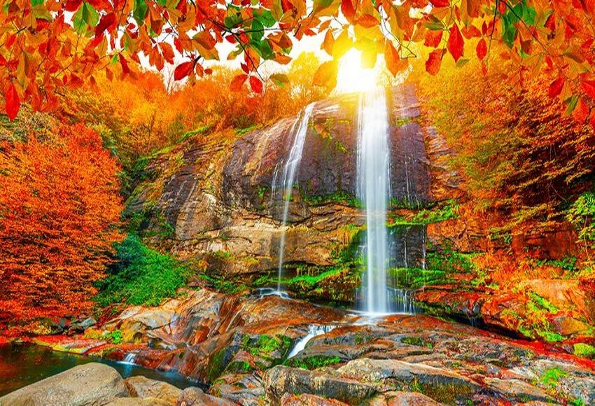 Waterfall Fall Secnery Background for Photography