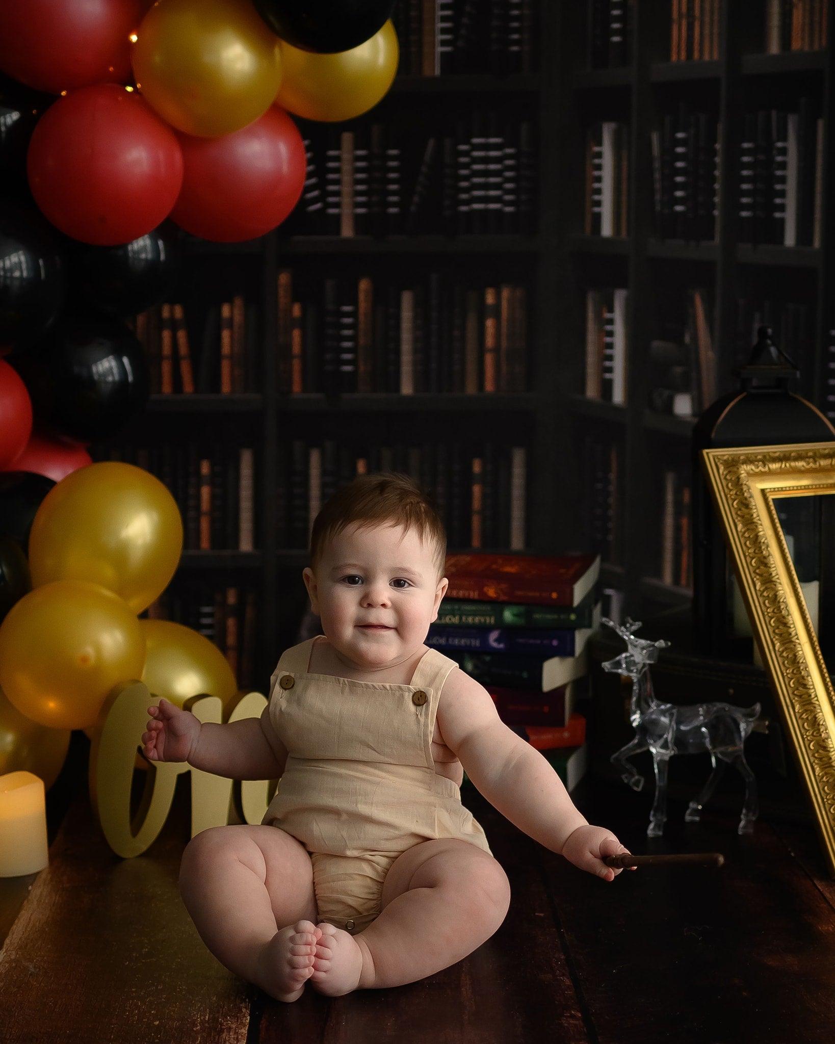 Back to School Library Bookshelves Backdrop for Photography