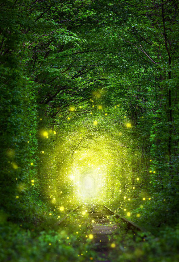 Fantastici Sfondi Per Tunnel Con Scene Di Alberi Per La Fotografia SH-969