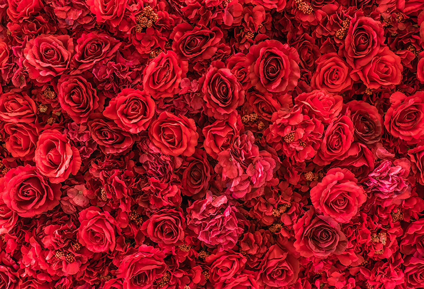 Sfondo Per Fotografia Di Matrimonio Con Fiori Di Rosa Rossa SH-994