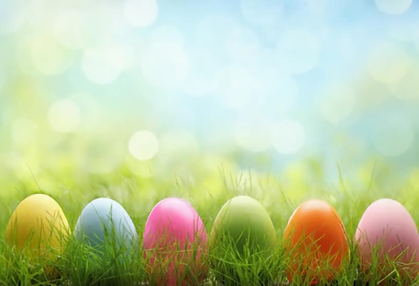 Sfondo Fotografico Bokeh Erba Verde Uova Di Pasqua SH005