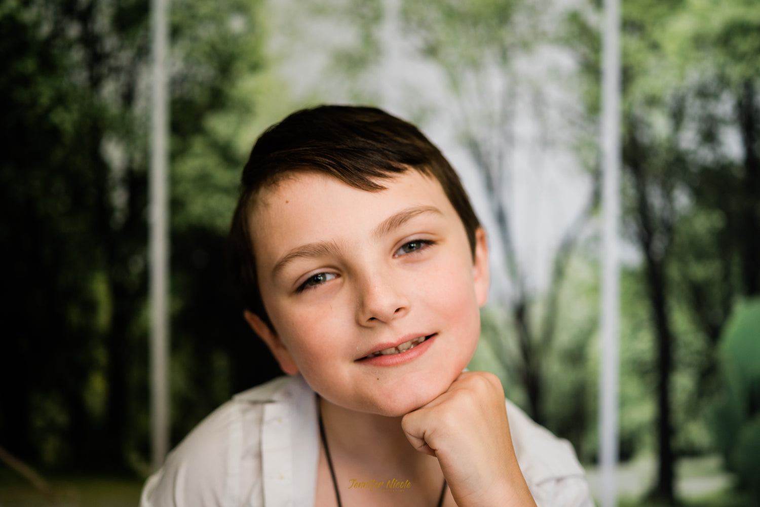 Interno Del Soggiorno Sedia Piante Pavimento In Legno Sfondo Per Riprese Video Fotografiche SH661