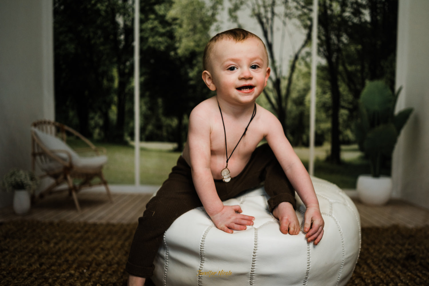 Interno Del Soggiorno Sedia Piante Pavimento In Legno Sfondo Per Riprese Video Fotografiche SH661
