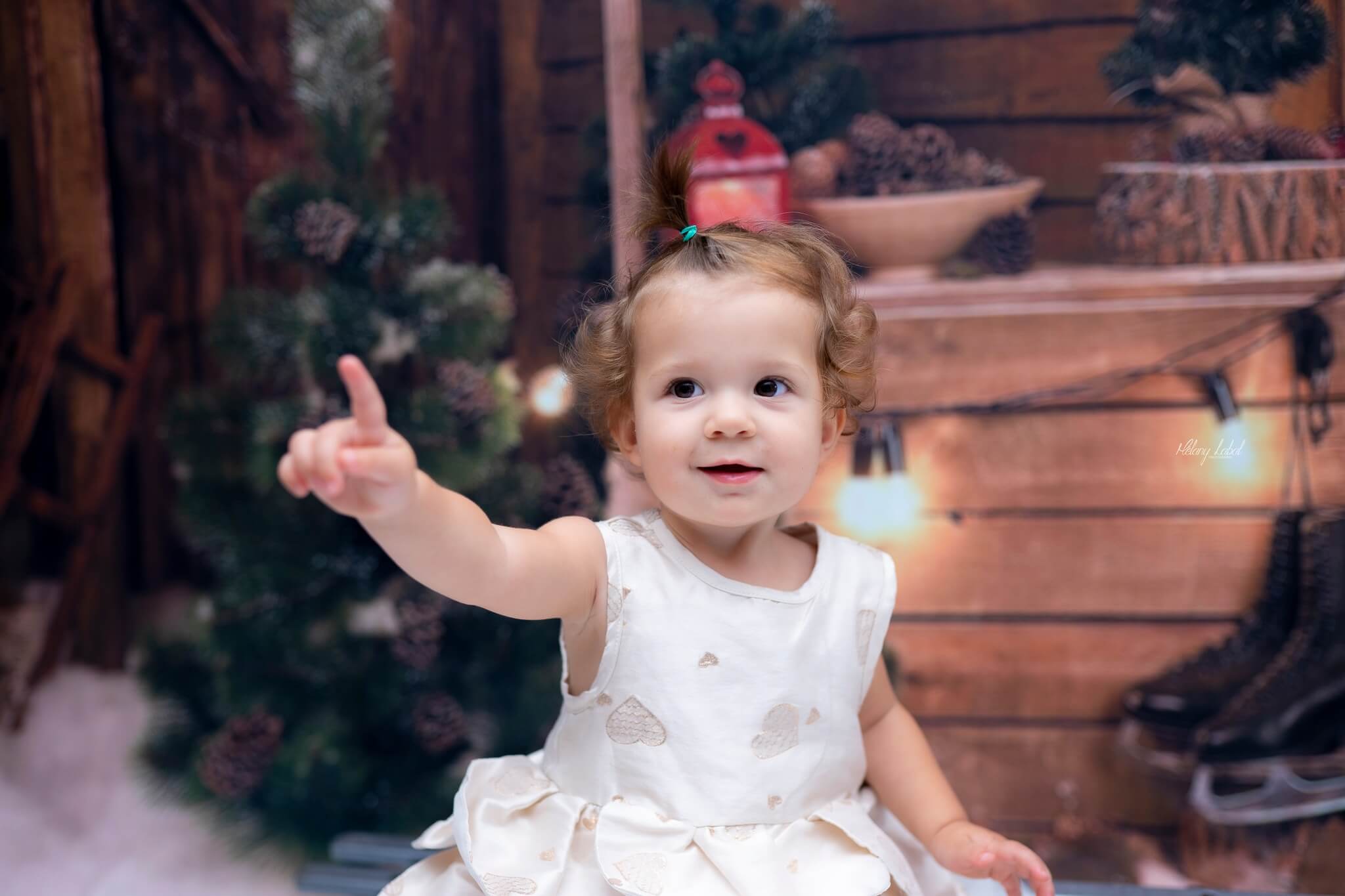 Accogliente Sfondo Natalizio Con Cabina In Legno SH662