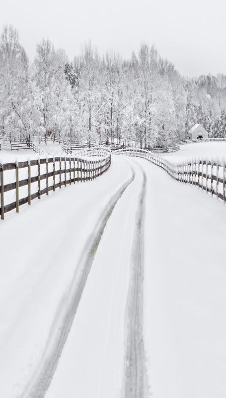 Sfondo Invernale Della Foresta Con Strada Innevata Per Photo Booth ST-439