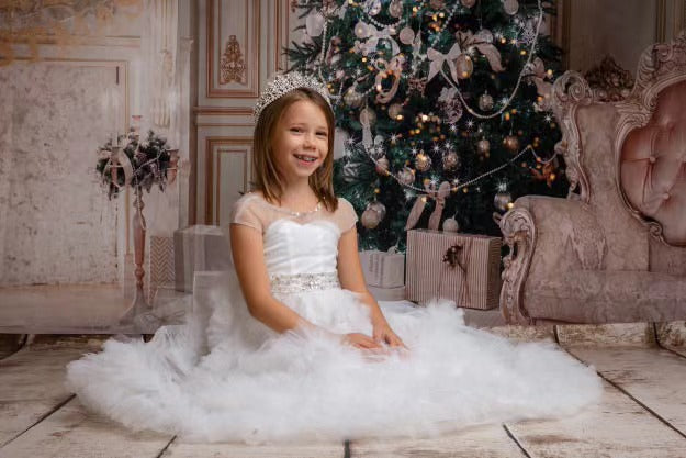 Sfondo Fotografico Per Decorazione Regali Per Albero Di Natale Della Stanza Interna KAT-60
