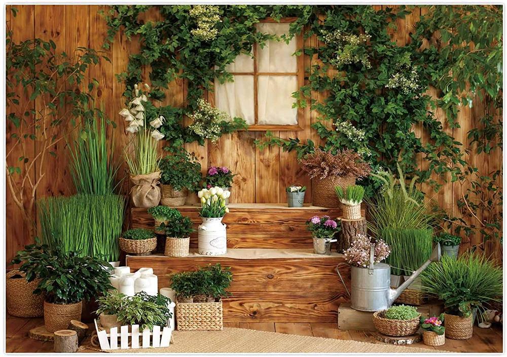 Spring Yard Patio of a Wooden House With Green Plants Backdrop GC-200