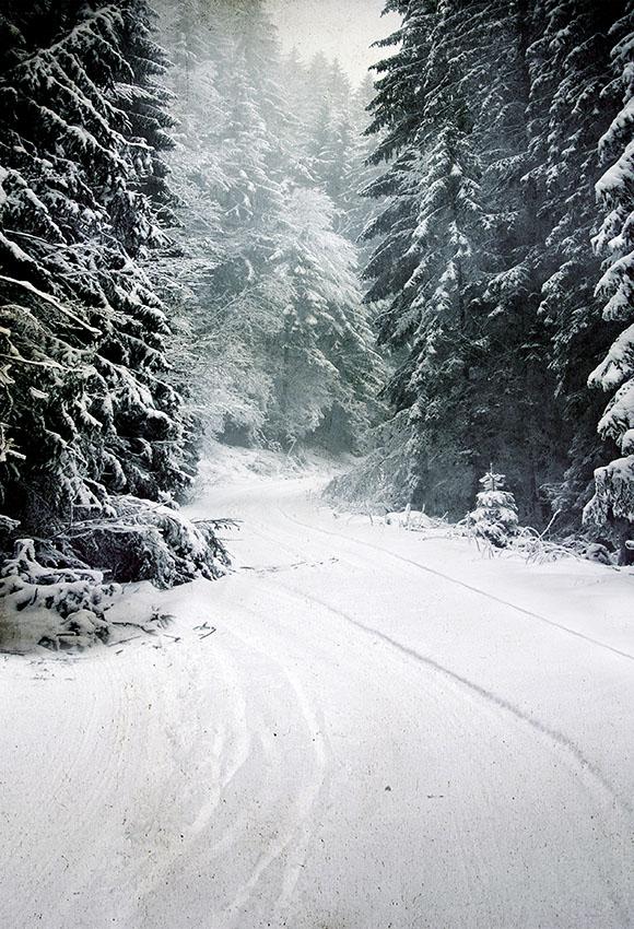 Scenario Invernale Snow Road Forest Photography Fondale LV-873