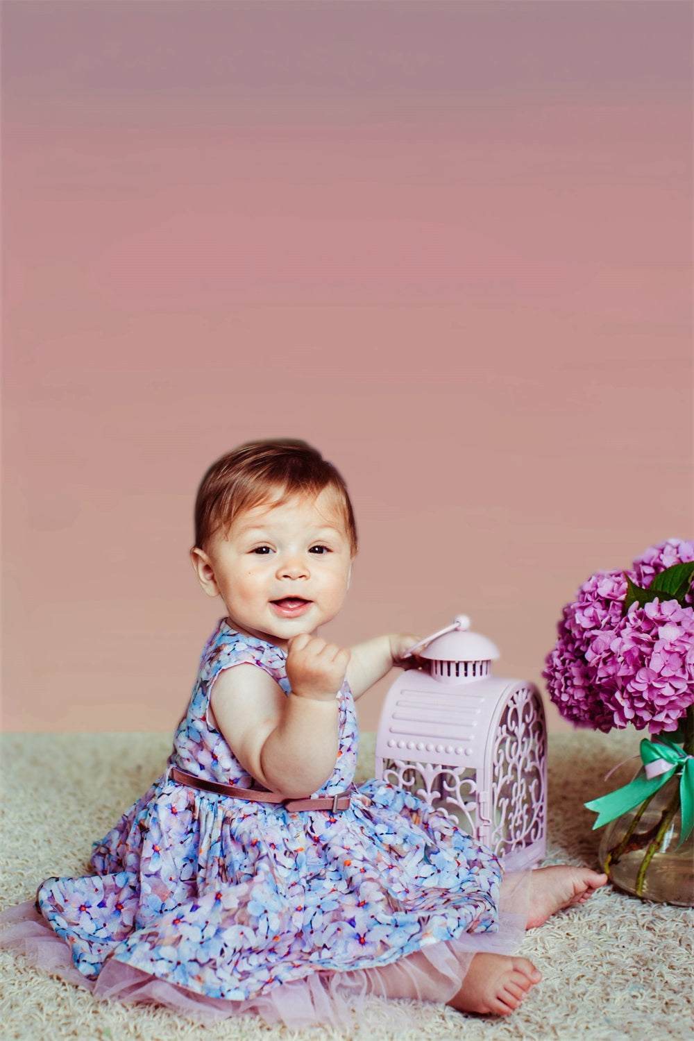 Fondali In Studio Ritratto Sfumato Rosa Viola Blu Sfondo BRP-11-608